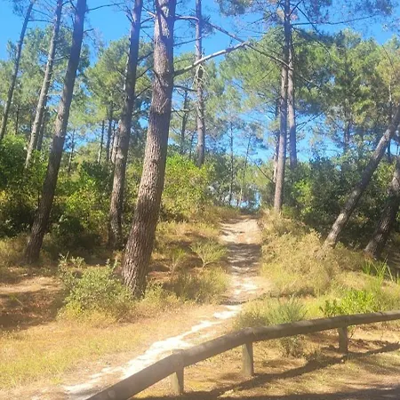 Camping Confort 6 Places Au Calme, Proche Ocean Et Lacanau